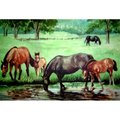 H2H Horse Pond Doormat Rug, Green - 18 x 30 in. H22548333